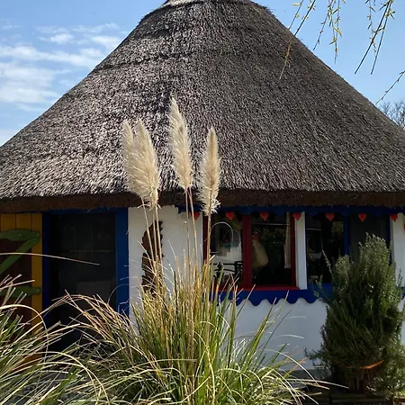 Casa Soarelui-2